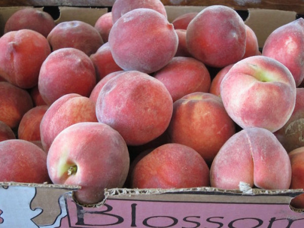 A Story about Kids Selling Wares at a Farmers Market