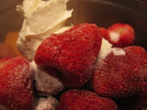 FrozenStrawberriesYogurtSugarMakingSorbet