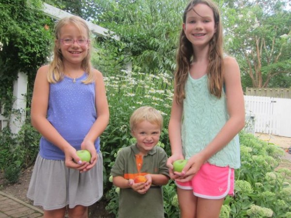 Homegrown fruit from front yard edible garden 