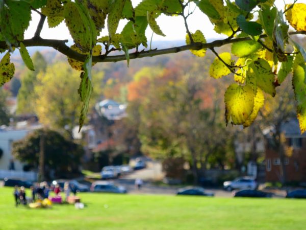 Neighborhood Fall Party