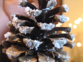 How to Make Sparkling Pine Cone Decorations Thumbnail